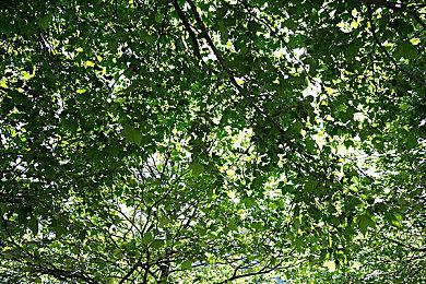 小岛工作室公开 《死亡搁浅2》最新视觉图